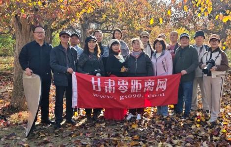 零距离走进兰州什川百年古梨园